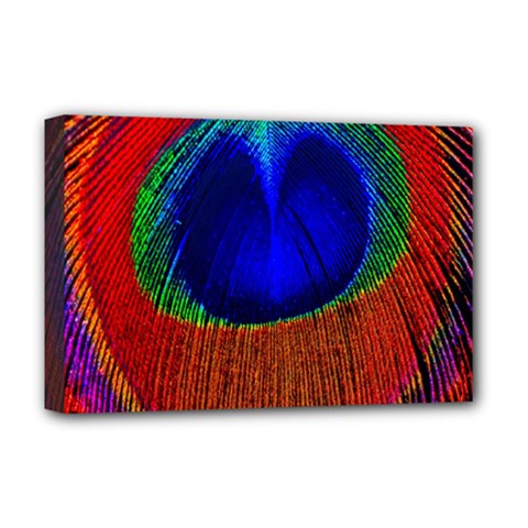 Red Peacock Plumage Fearher Bird Pattern Deluxe Canvas 18  X 12  (stretched) by Wegoenart