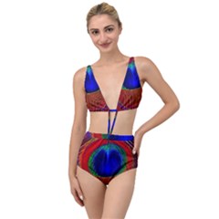 Red Peacock Plumage Fearher Bird Pattern Tied Up Two Piece Swimsuit by Wegoenart