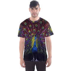 Beautiful Peacock Feather Men s Sport Mesh Tee