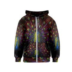 Beautiful Peacock Feather Kids  Zipper Hoodie