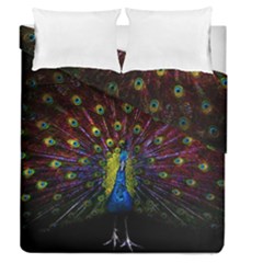 Beautiful Peacock Feather Duvet Cover Double Side (queen Size) by Jancukart