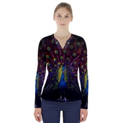 Beautiful Peacock Feather V-neck Long Sleeve Top