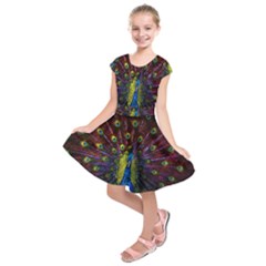 Beautiful Peacock Feather Kids  Short Sleeve Dress