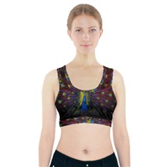 Beautiful Peacock Feather Sports Bra With Pocket by Jancukart