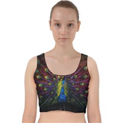 Beautiful Peacock Feather Velvet Racer Back Crop Top