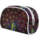 Beautiful Peacock Feather Make Up Case (Large) View2