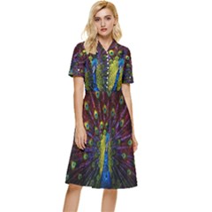 Beautiful Peacock Feather Button Top Knee Length Dress