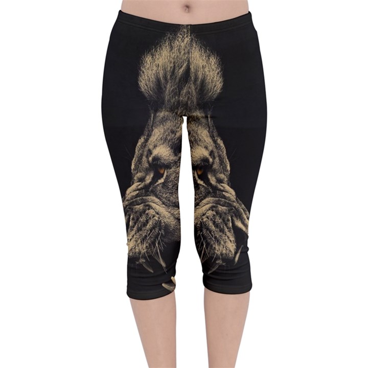 Animalsangry Male Lions Conflict Velvet Capri Leggings 