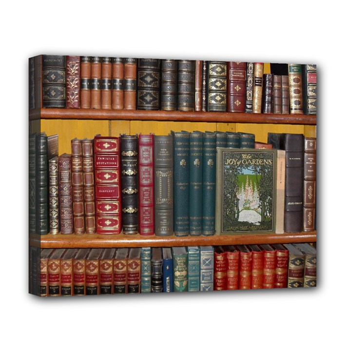 Books Library Bookshelf Bookshop Deluxe Canvas 20  x 16  (Stretched)