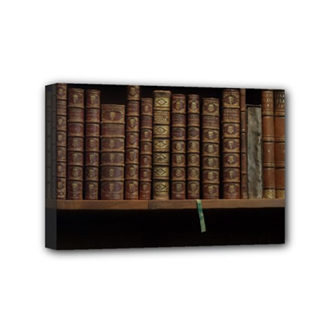 Books Covers Book Case Old Library Mini Canvas 6  X 4  (stretched) by Amaryn4rt