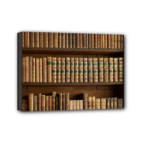 Books Bookcase Old Books Historical Mini Canvas 7  X 5  (stretched) by Amaryn4rt