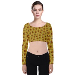 Floral Wallpaper Floral Background Velvet Long Sleeve Crop Top by Amaryn4rt