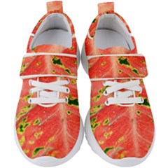 Aglonema Leaf Plant Pattern Flora Kids  Velcro Strap Shoes by Amaryn4rt