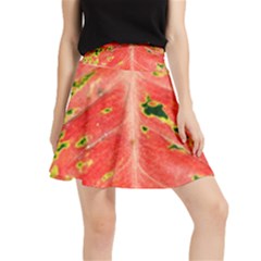 Aglonema Leaf Plant Pattern Flora Waistband Skirt by Amaryn4rt