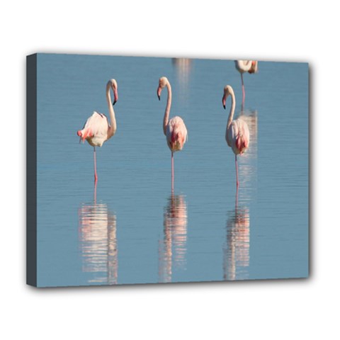 Flamingo Birds Plumage Sea Water Canvas 14  X 11  (stretched) by artworkshop