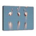 Flamingo Birds Plumage Sea Water Canvas 16  x 12  (Stretched) View1