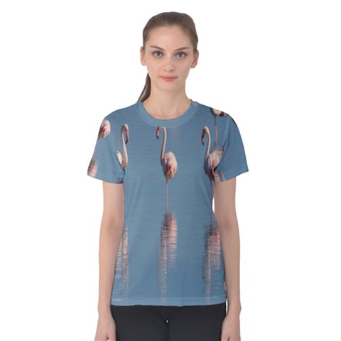 Flamingo Birds Plumage Sea Water Women s Cotton Tee by artworkshop