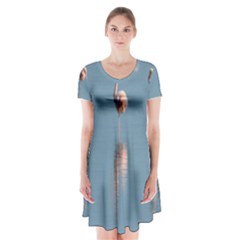 Flamingo Birds Plumage Sea Water Short Sleeve V-neck Flare Dress by artworkshop