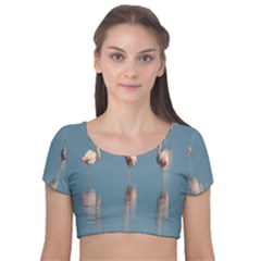 Flamingo Birds Plumage Sea Water Velvet Short Sleeve Crop Top  by artworkshop