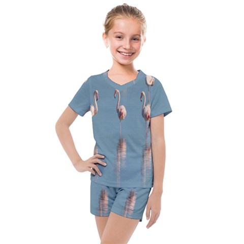 Flamingo Birds Plumage Sea Water Kids  Mesh Tee And Shorts Set by artworkshop