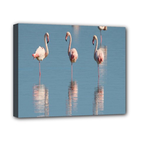 Flamingo Birds Plumage Sea Water Animal Exotic Canvas 10  X 8  (stretched) by artworkshop