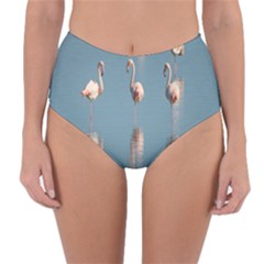 Flamingo Birds Plumage Sea Water Animal Exotic Reversible High-waist Bikini Bottoms by artworkshop