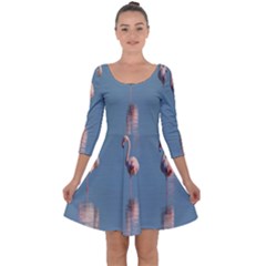 Flamingo Birds Plumage Sea Water Animal Exotic Quarter Sleeve Skater Dress by artworkshop