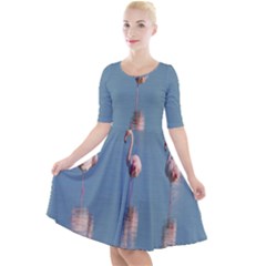 Flamingo Birds Plumage Sea Water Animal Exotic Quarter Sleeve A-line Dress by artworkshop