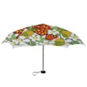 Strawberries Berry Strawberry Leaves Mini Folding Umbrellas View3