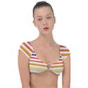 Illustration Retro Sun Sunset Vintage Graphic Cap Sleeve Ring Bikini Top View1