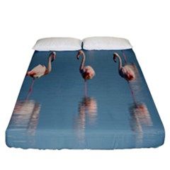 Flamingo Birds Plumage Sea Water Animal Exotic Fitted Sheet (california King Size) by artworkshop