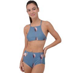 Flamingo Birds Plumage Sea Water Animal Exotic High Waist Tankini Set by artworkshop