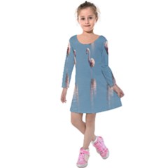 Flamingo Birds Plumage Sea Water Animal Exotic Kids  Long Sleeve Velvet Dress