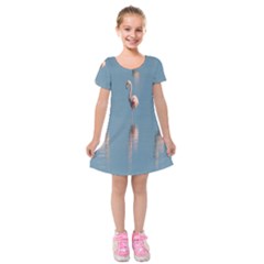 Flamingo Birds Plumage Sea Water Animal Exotic Kids  Short Sleeve Velvet Dress by artworkshop