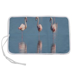 Flamingo Birds Plumage Sea Water Animal Exotic Pen Storage Case (s) by artworkshop