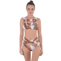 Horse Coat Animal Equine Bandaged Up Bikini Set  by artworkshop