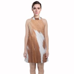 Horse Coat Animal Equine Velvet Halter Neckline Dress  by artworkshop