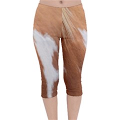 Horse Coat Animal Equine Velvet Capri Leggings  by artworkshop