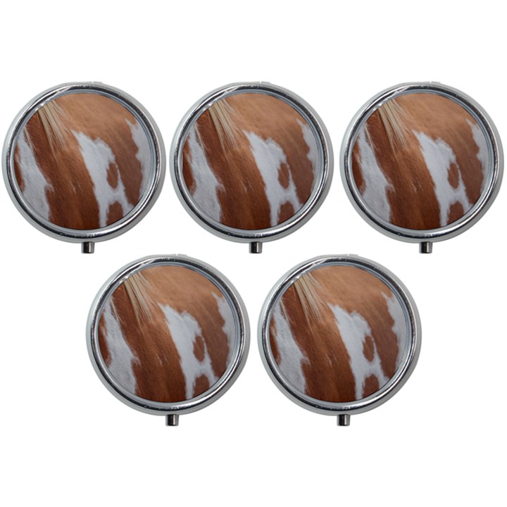 Horse Coat Animal Equine Mini Round Pill Box (Pack of 5)