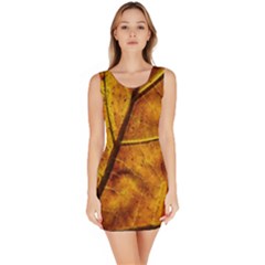 Leaf Leaf Veins Fall Bodycon Dress by artworkshop