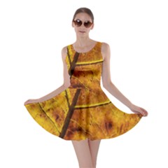 Leaf Leaf Veins Fall Skater Dress by artworkshop