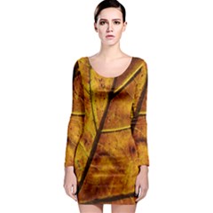 Leaf Leaf Veins Fall Long Sleeve Bodycon Dress by artworkshop