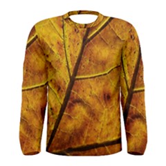 Leaf Leaf Veins Fall Men s Long Sleeve Tee by artworkshop