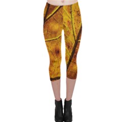 Leaf Leaf Veins Fall Capri Leggings  by artworkshop