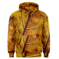 Leaf Leaf Veins Fall Men s Core Hoodie by artworkshop