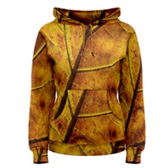 Leaf Leaf Veins Fall Women s Pullover Hoodie by artworkshop