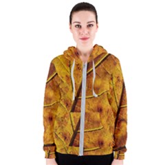 Leaf Leaf Veins Fall Women s Zipper Hoodie by artworkshop