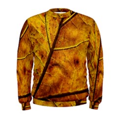 Leaf Leaf Veins Fall Men s Sweatshirt by artworkshop