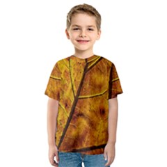 Leaf Leaf Veins Fall Kids  Sport Mesh Tee