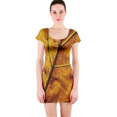 Leaf Leaf Veins Fall Short Sleeve Bodycon Dress by artworkshop